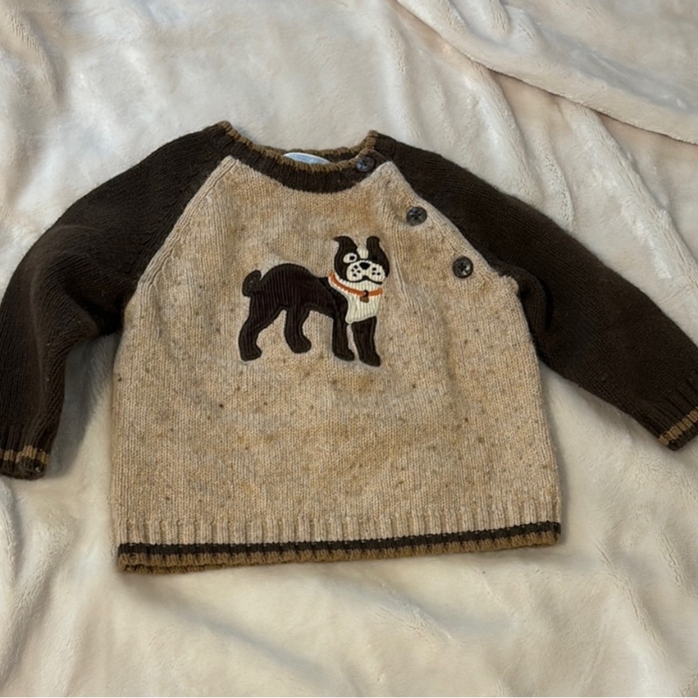 Adorable Dog Sweater for Kids